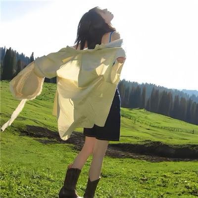 狂野骑士